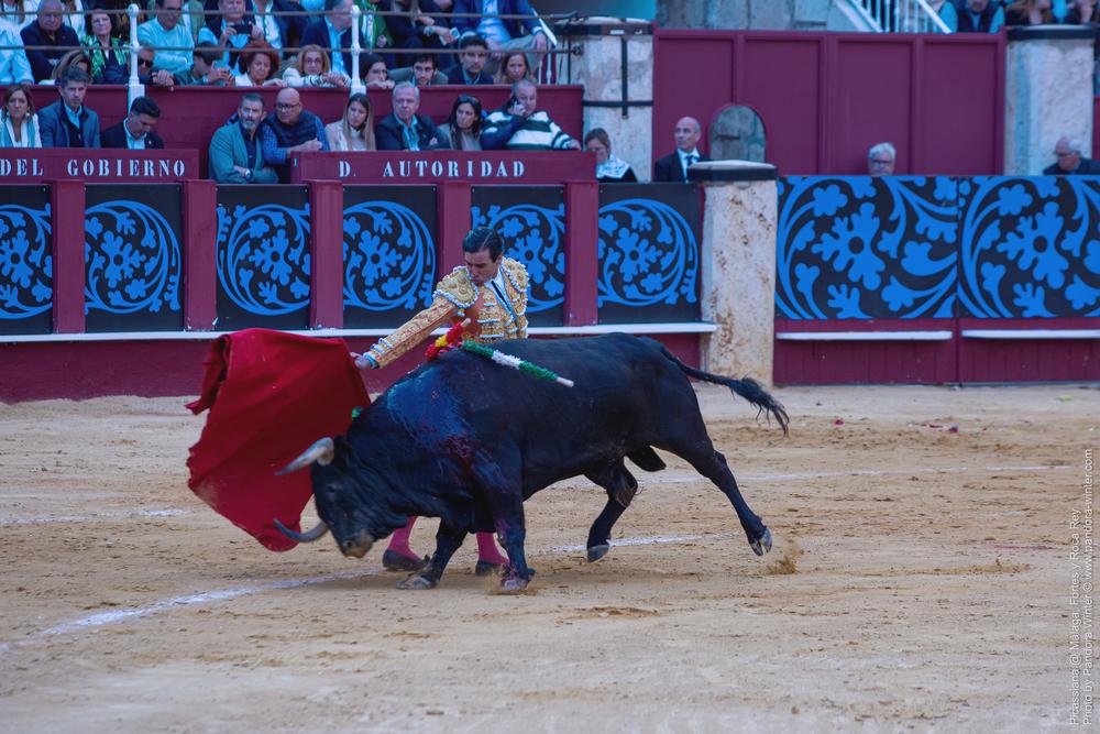 Corrida Picassiana @ Málaga, 19-04-2025