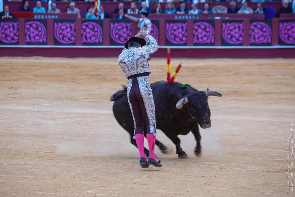 Corrida Picassiana @ Málaga, 19-04-2025