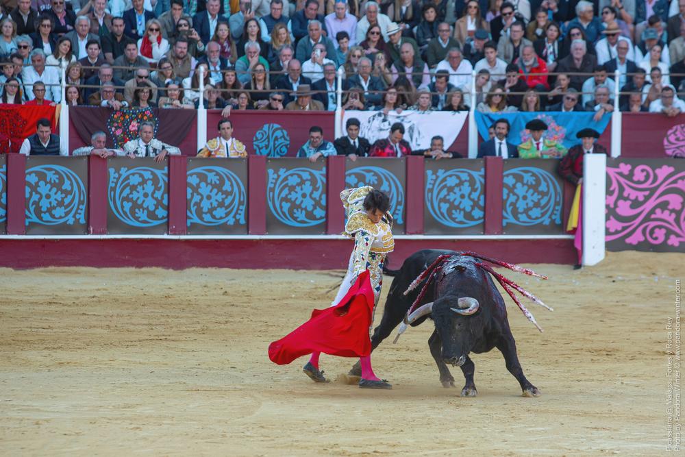 Corrida Picassiana @ Málaga, 19-04-2025