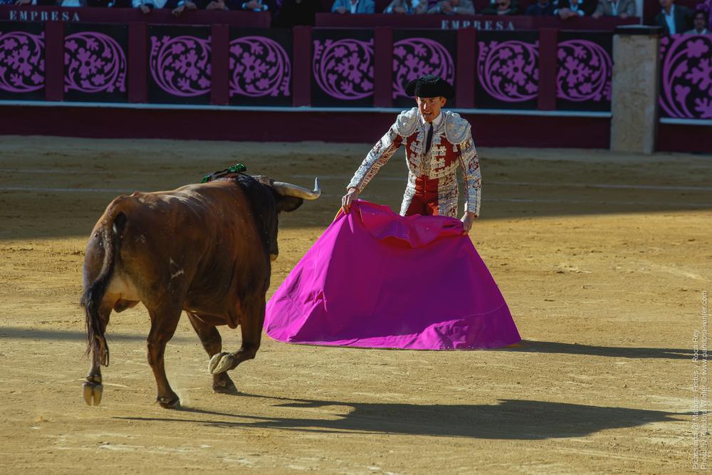 Corrida Picassiana @ Málaga, 19-04-2025