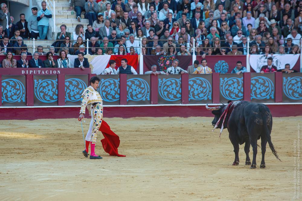 Corrida Picassiana @ Málaga, 19-04-2025