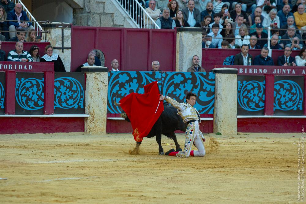 Corrida Picassiana @ Málaga, 19-04-2025