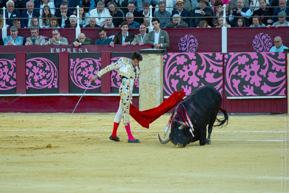 Corrida Picassiana @ Málaga, 19-04-2025