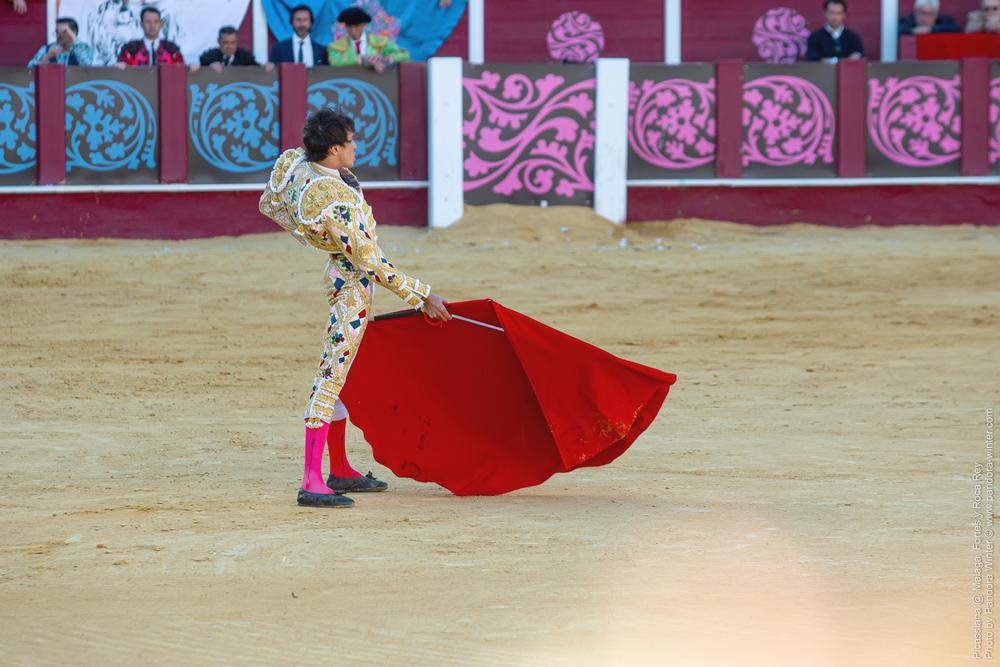 Corrida Picassiana @ Málaga, 19-04-2025
