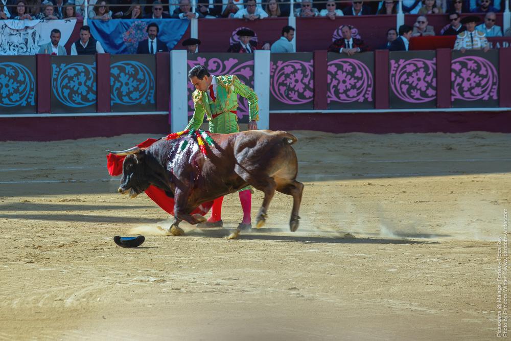 Corrida Picassiana @ Málaga, 19-04-2025