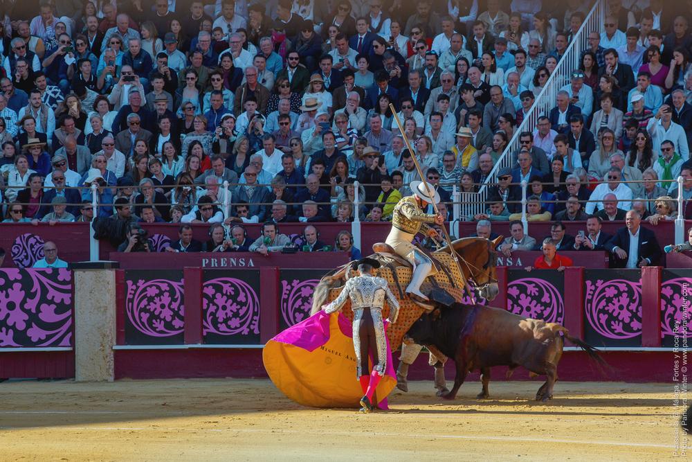 Corrida Picassiana @ Málaga, 19-04-2025