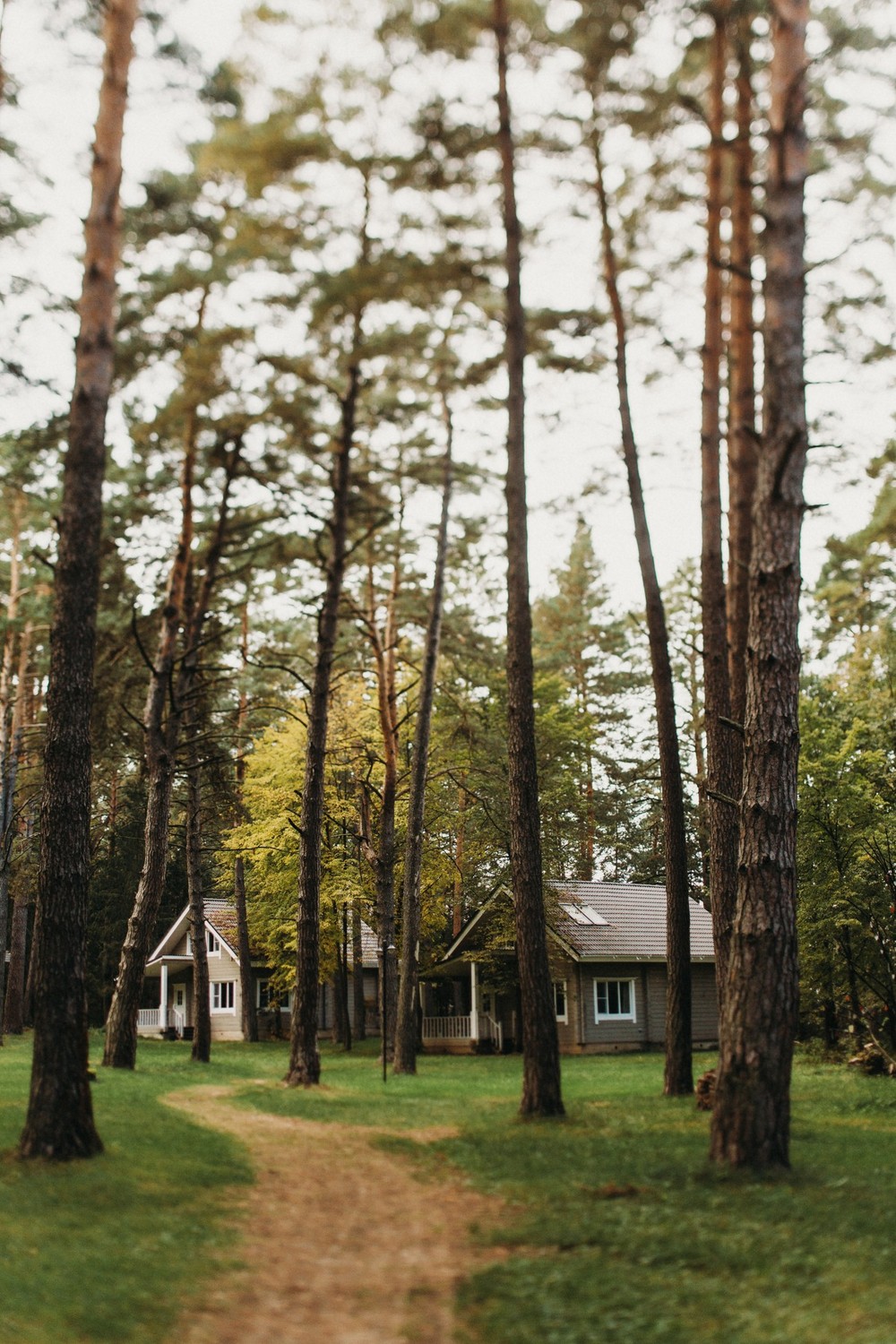 Лесная быль. Загородный отель Pine River. Пайн Ривер Калужская область. Загородный отель Pine River Подмосковье. Pine River Hotel территория.