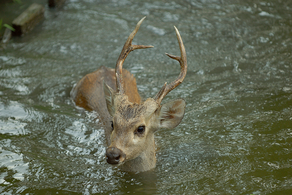 BANGKOK