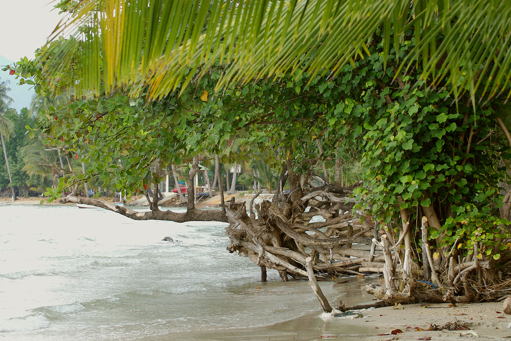 KO CHANG