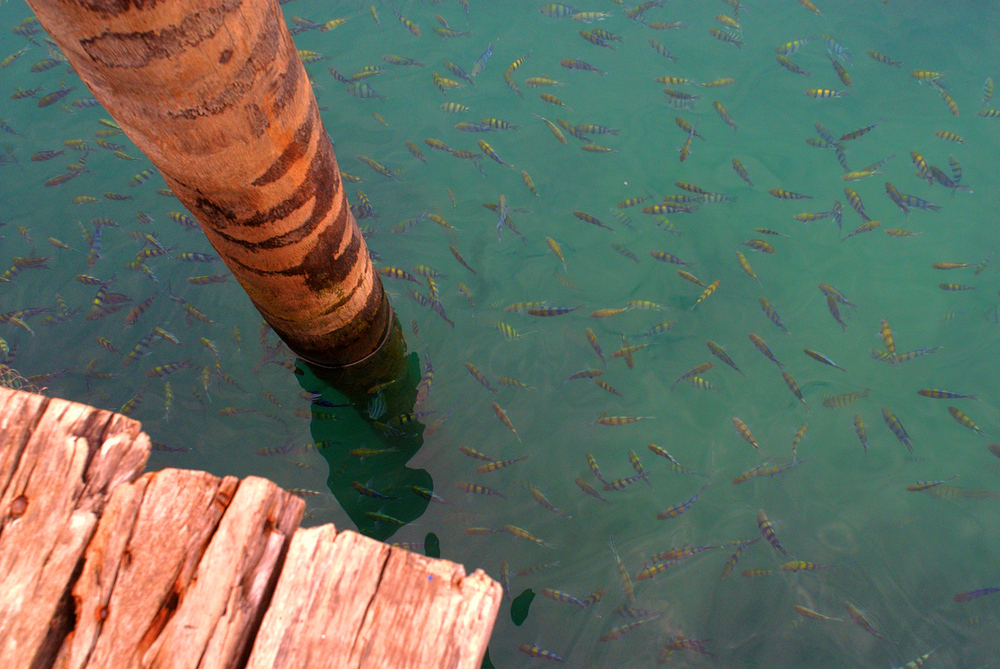 KO CHANG