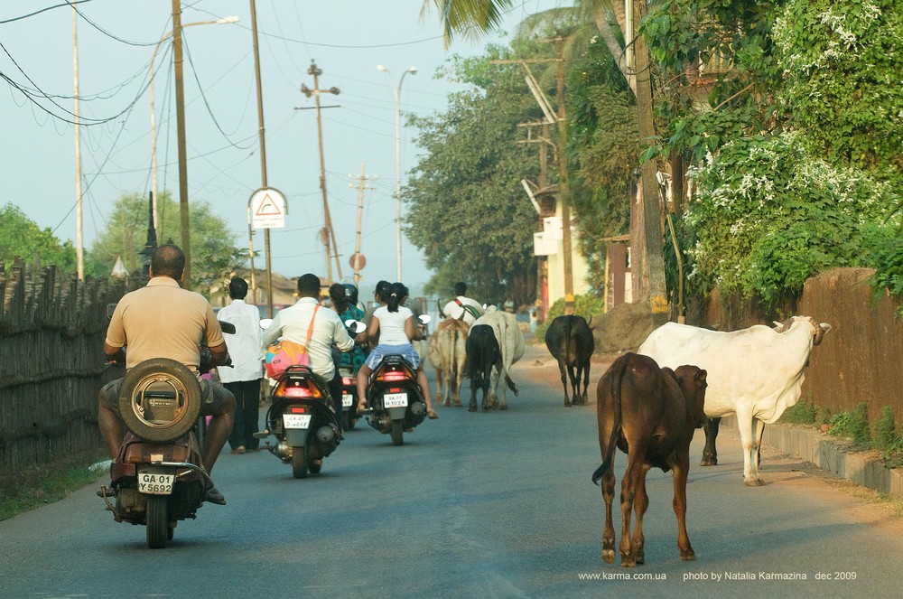 Goa Anjuna Baga