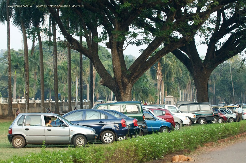 Goa Anjuna Baga