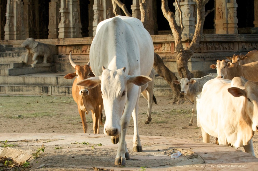 Karnataka. Hampi