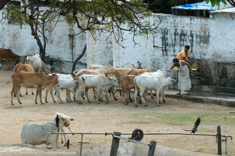 Karnataka. Hampi