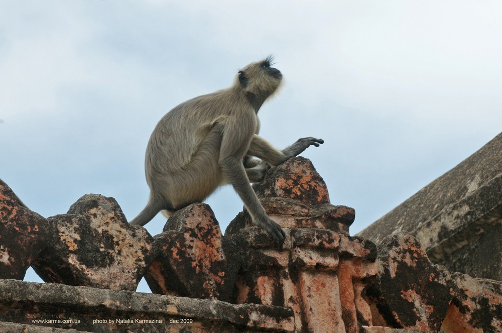 Karnataka. Hampi