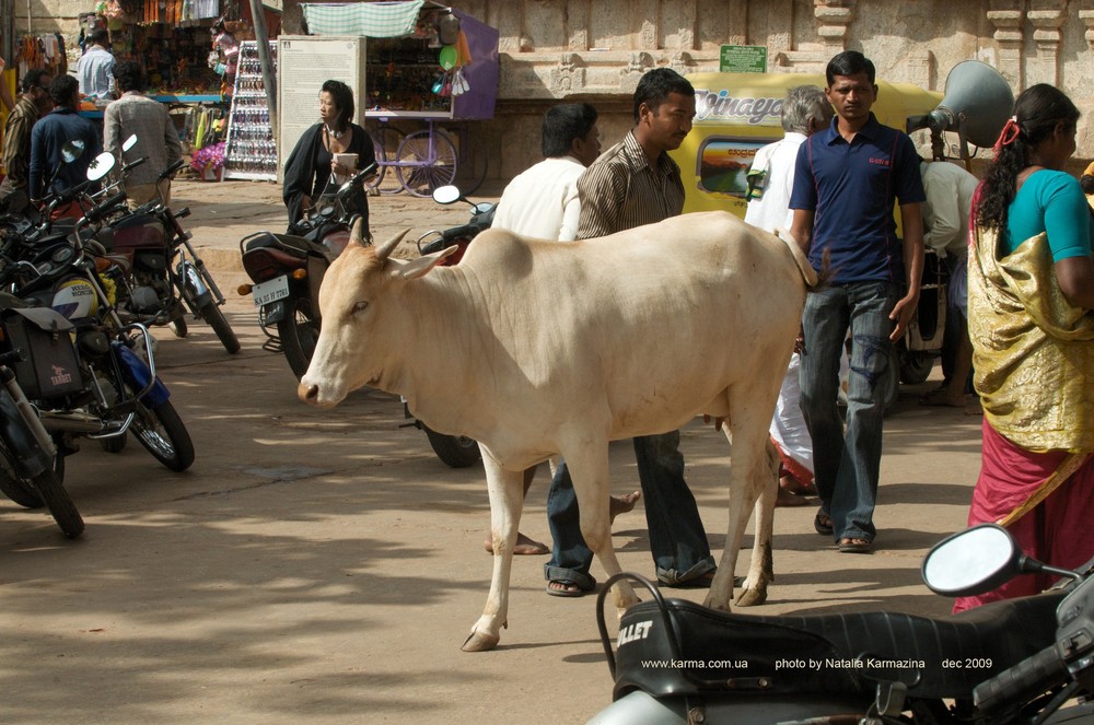 Karnataka. Hampi