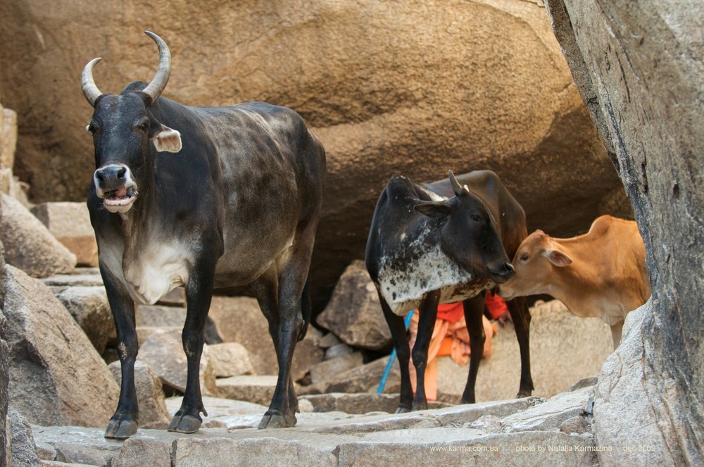 Karnataka. Hampi