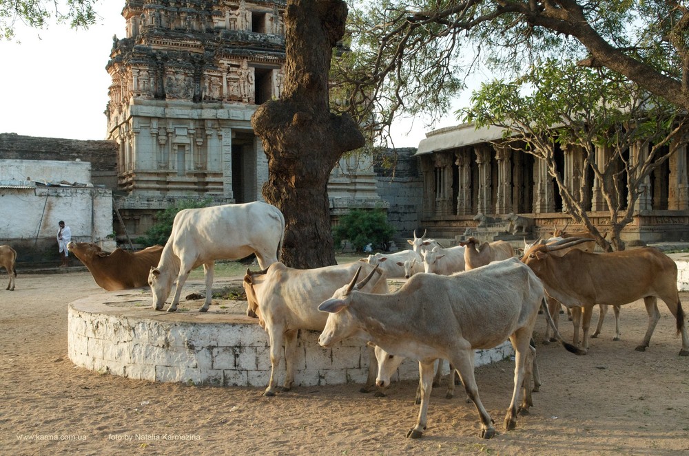 Karnataka. Hampi