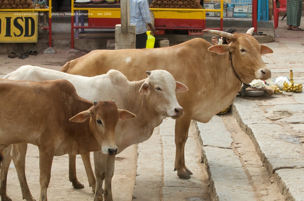 Karnataka. Hampi