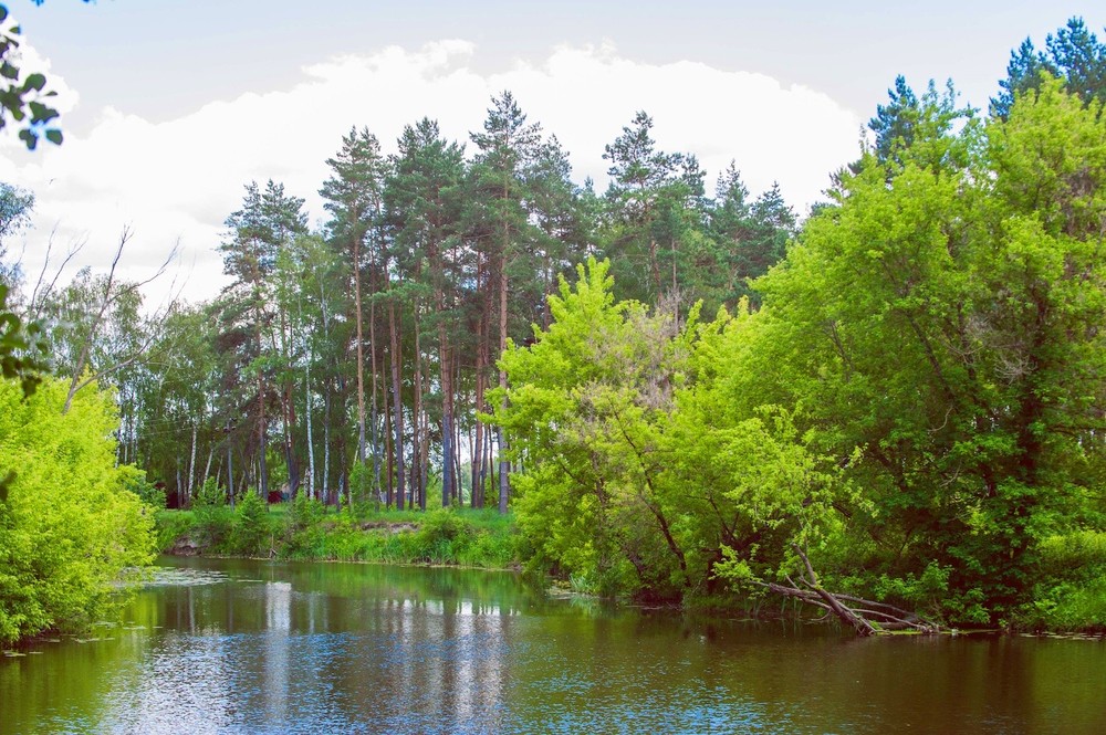 Getmanskiy park, Velika-Pisarevka