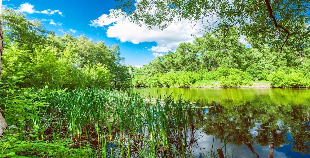 Getmanskiy park, Velika-Pisarevka