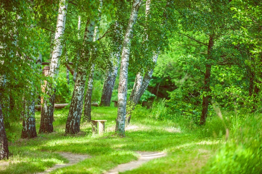 Getmanskiy park, Velika-Pisarevka