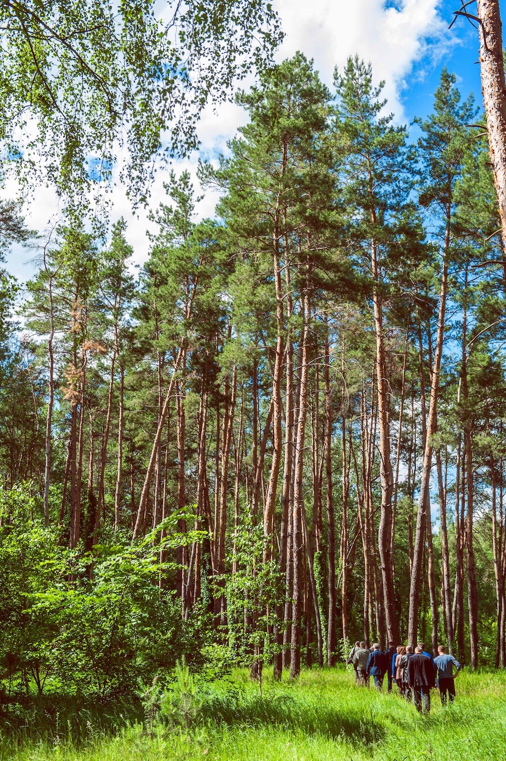 Getmanskiy park, Velika-Pisarevka