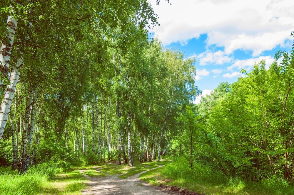 Getmanskiy park, Velika-Pisarevka