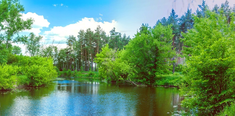 Getmanskiy park, Velika-Pisarevka