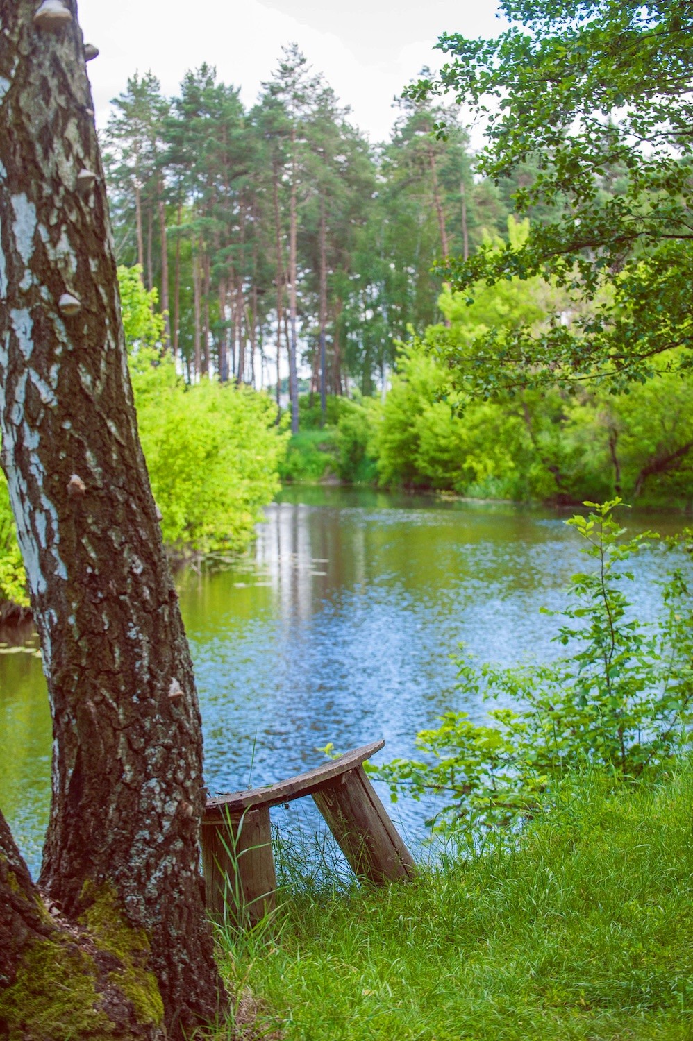 Getmanskiy park, Velika-Pisarevka