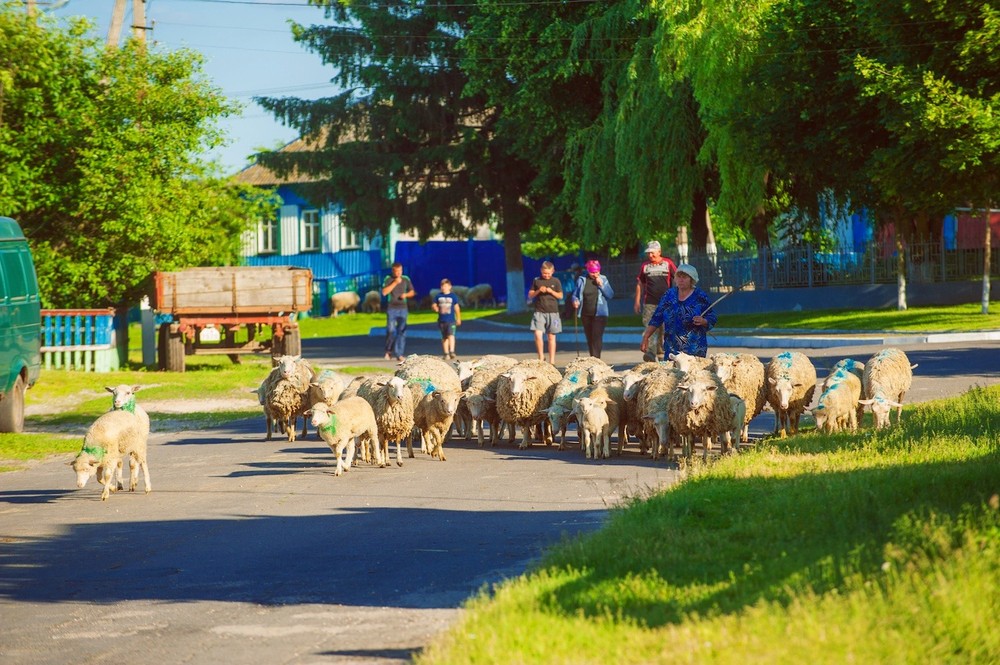 NEW SLABODA, GORYUNI