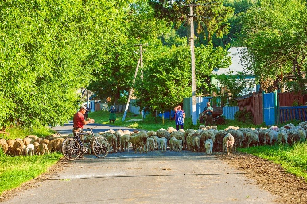 NEW SLABODA, GORYUNI