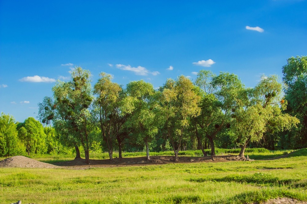 NEW SLABODA, GORYUNI