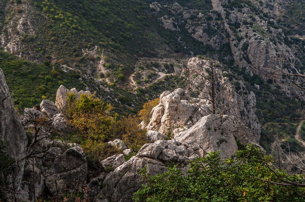 Castle of Saint Hilarion