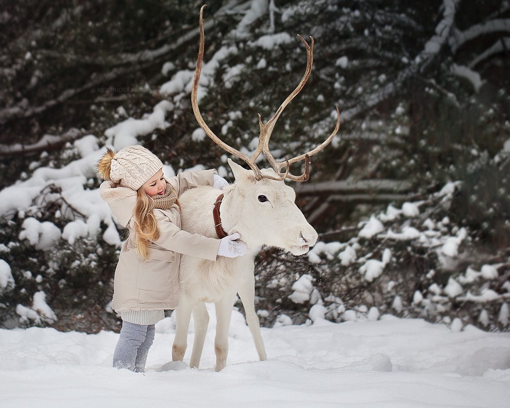 Галерея  - С животными - Фотографии 16+.