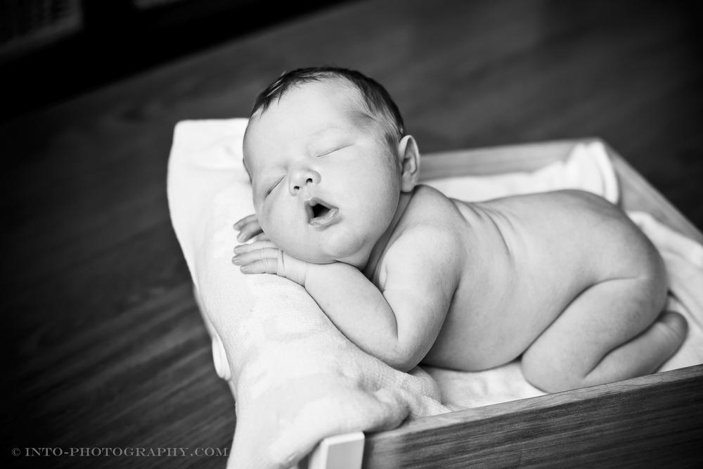 People - Newborn / Kids 