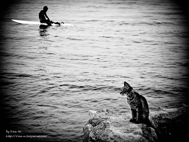 Travel - Egypt. Dahab