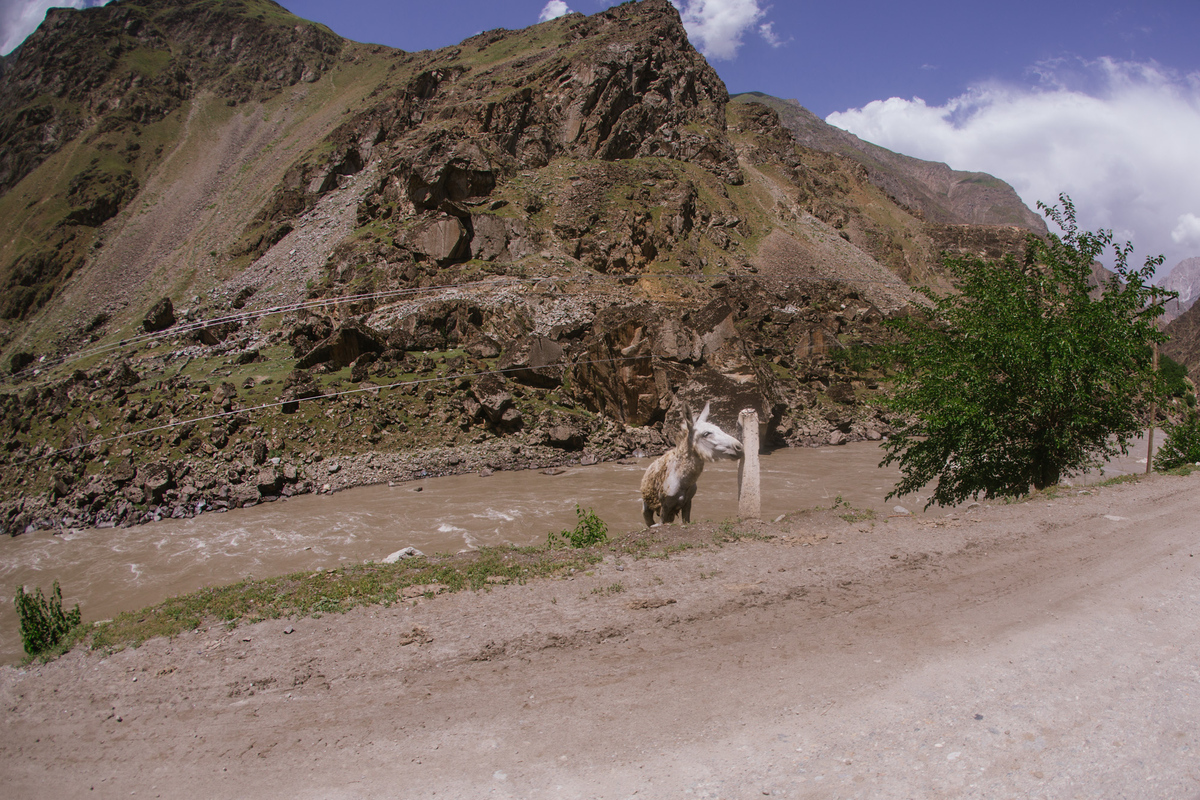 Таджикистан | ПАМИР
