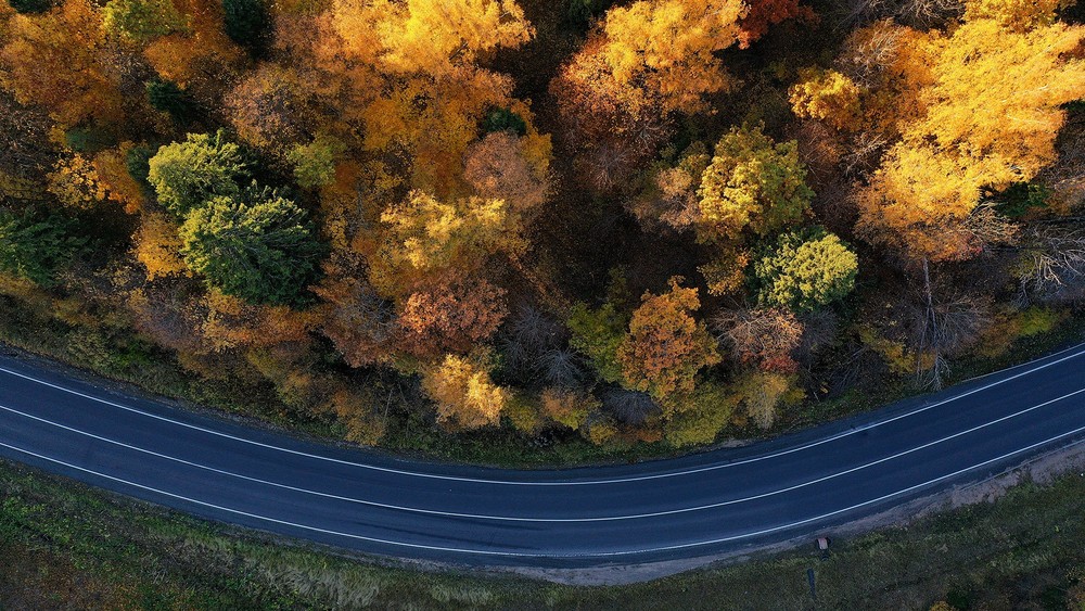 DRONESTORY