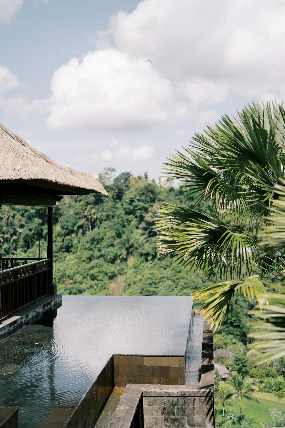 Vow renewal on Bali, Ubud