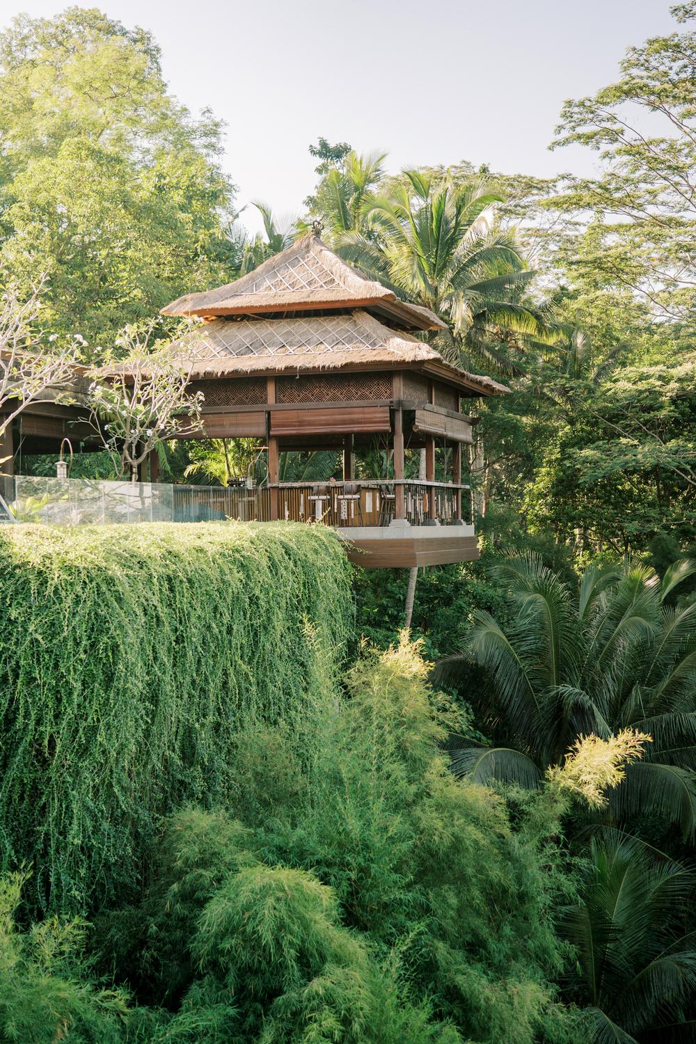 Vow renewal on Bali, Ubud