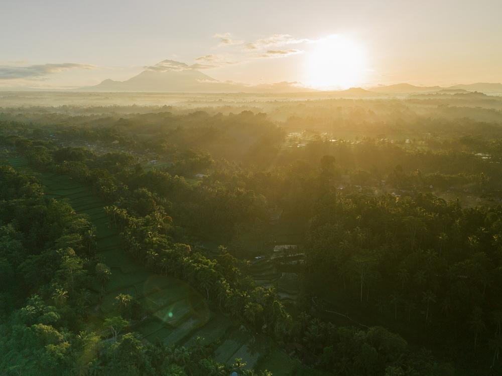 Vow renewal on Bali, Ubud