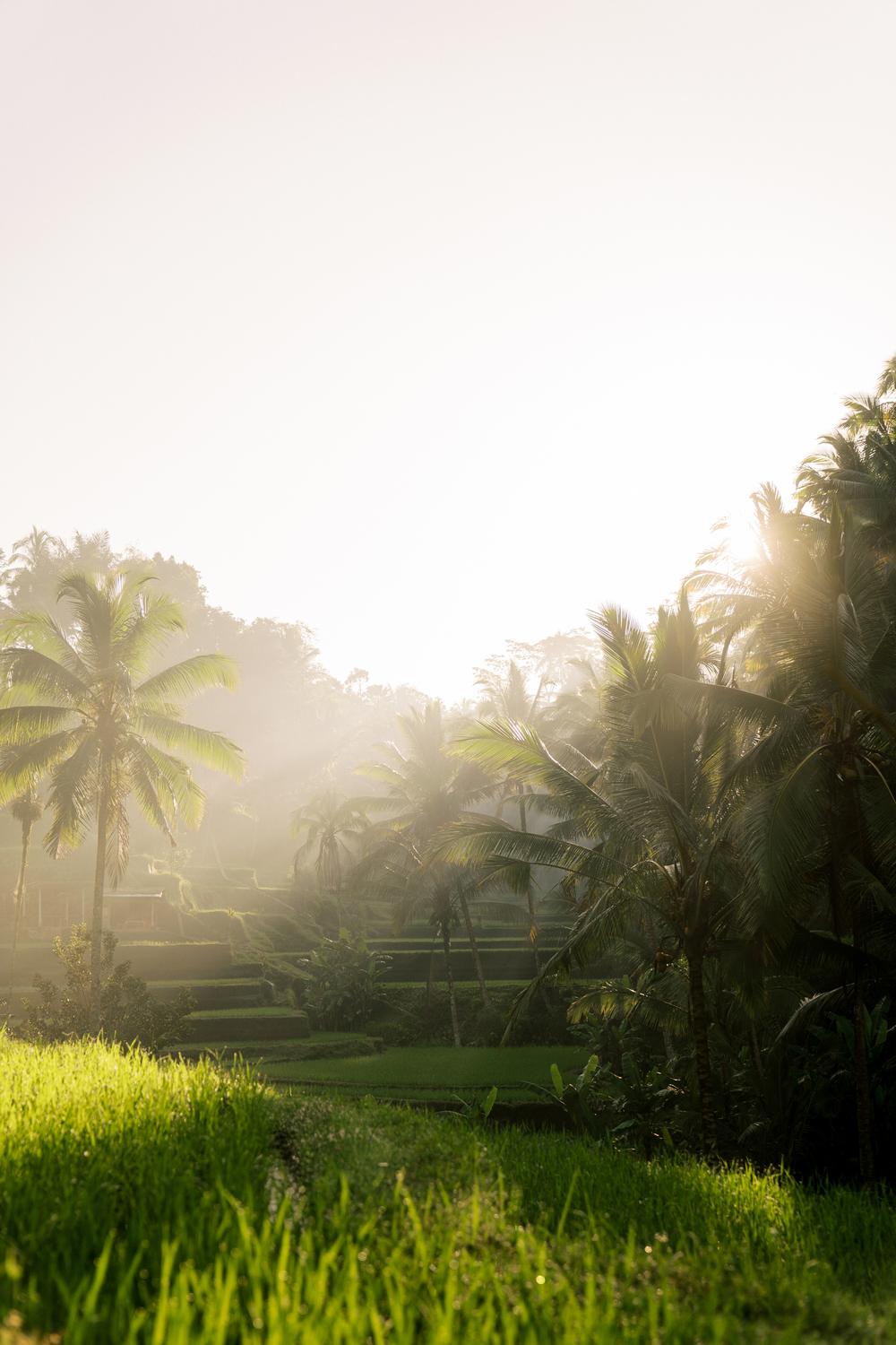 Vow renewal on Bali, Ubud