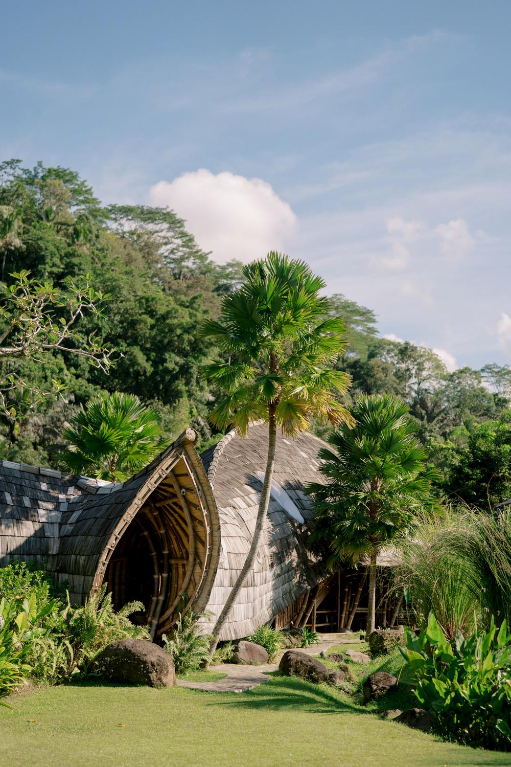 Vow renewal on Bali, Ubud