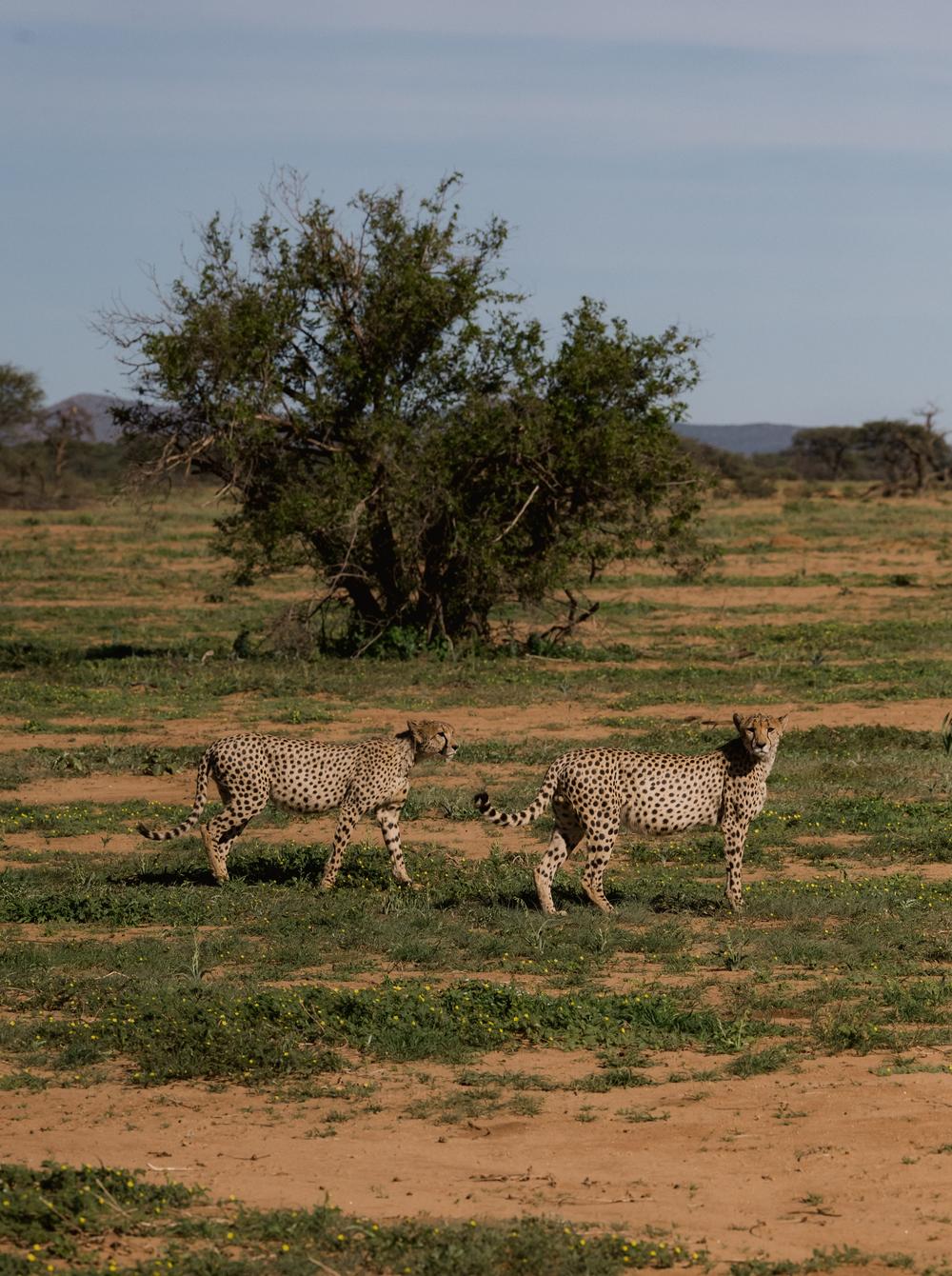 Namibia