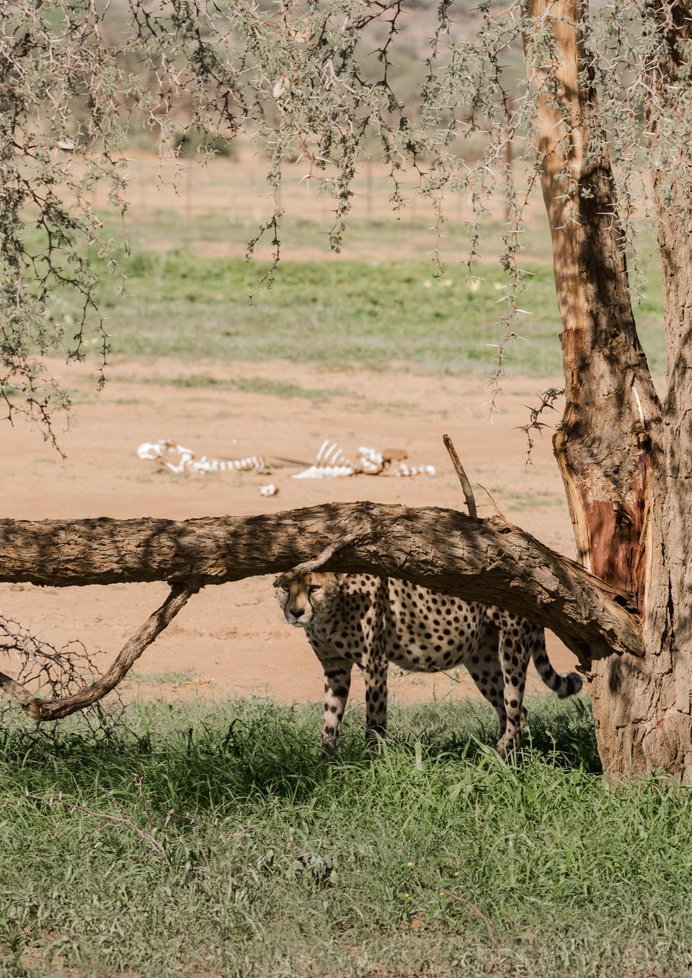 Namibia