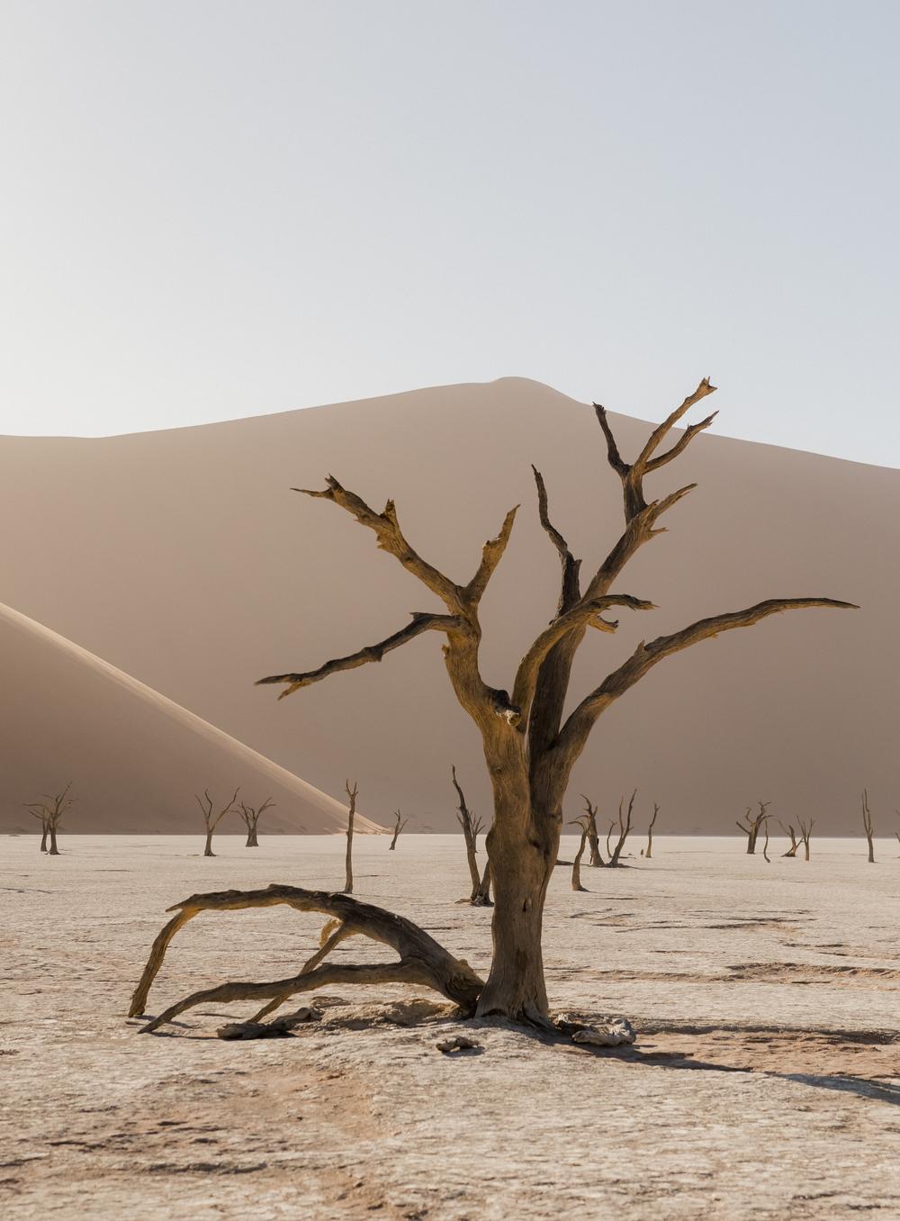 Namibia