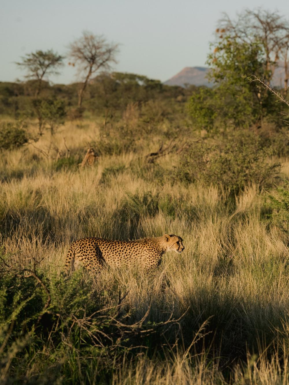 Namibia