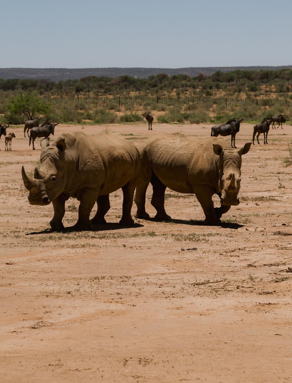 Namibia