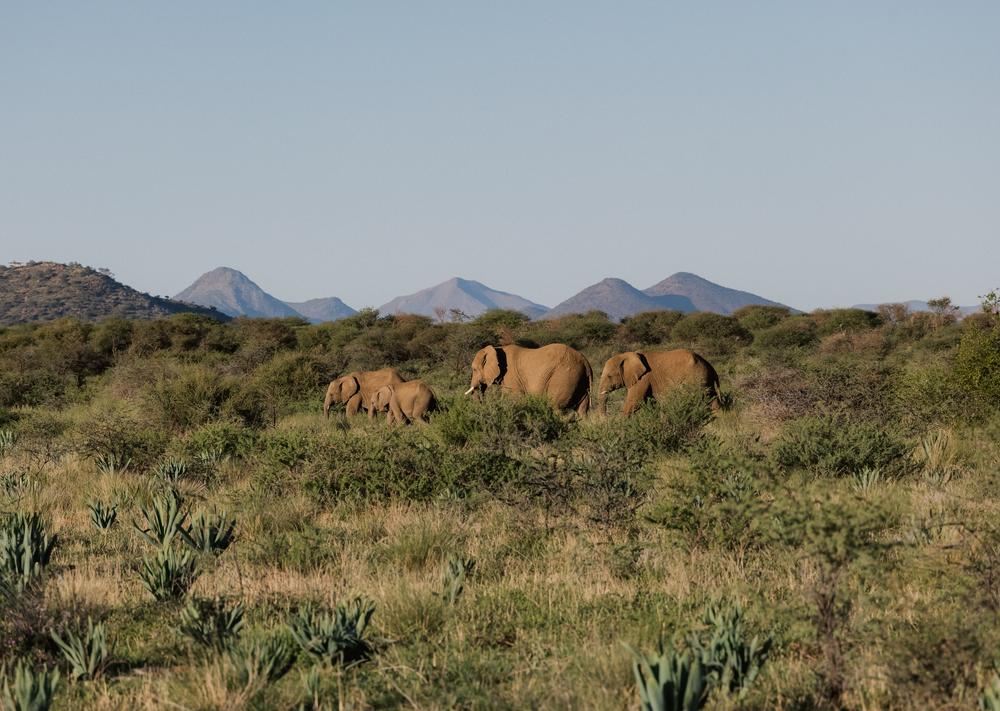 Namibia